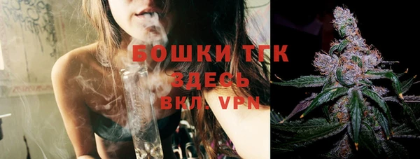 прущий лед Бородино