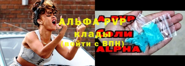 прущий лед Бородино