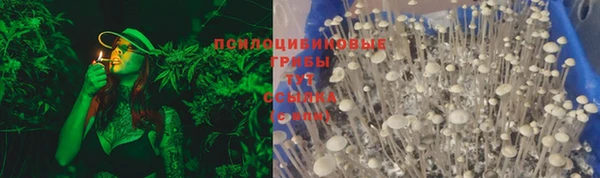 герыч Бронницы