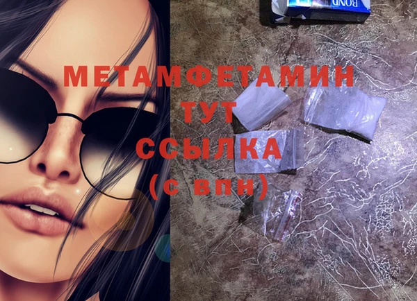 прущие грибы Заводоуковск