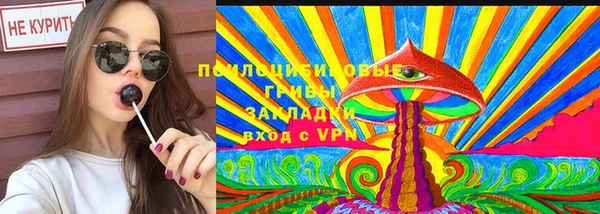 прущий лед Бородино