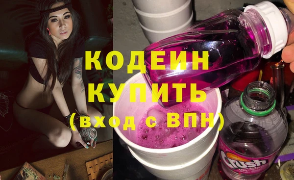 прущий лед Бородино