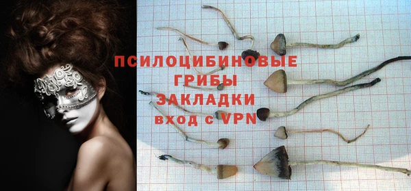 ALPHA PVP Бугульма
