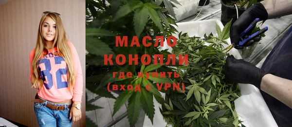 прущий лед Бородино