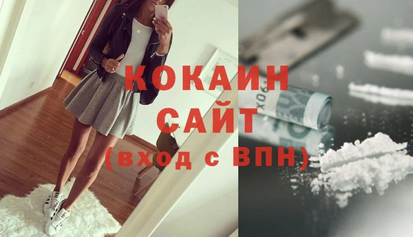 прущий лед Бородино