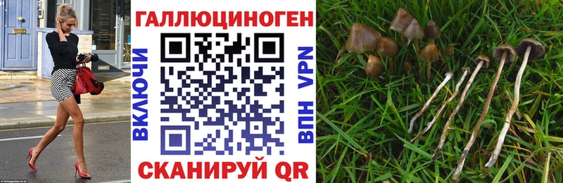 Галлюциногенные грибы мухоморы  мега как войти  Минусинск 